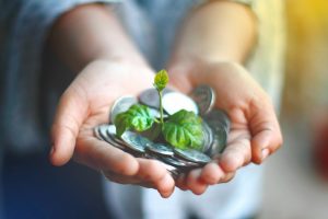 Follow the money: How green software accreditation funding shapes industry standards