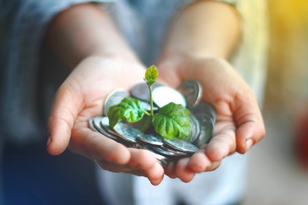 Follow the money: How green software accreditation funding shapes industry standards