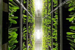 AI growth drives sustainability shift in Asia Pacific data centres