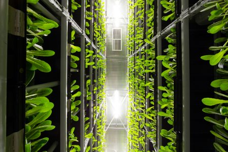 AI growth drives sustainability shift in Asia Pacific data centres