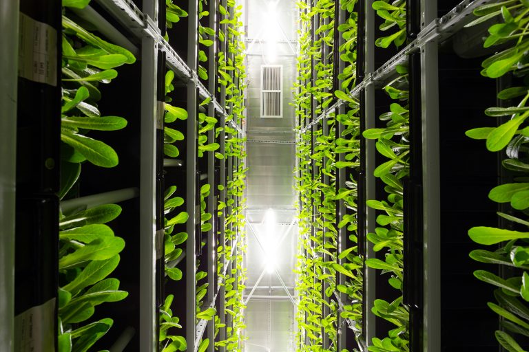 AI growth drives sustainability shift in Asia Pacific data centres